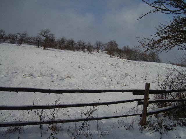 PIC_0391.JPG