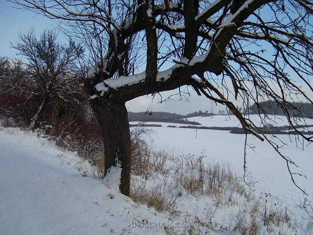 PIC_0411.JPG