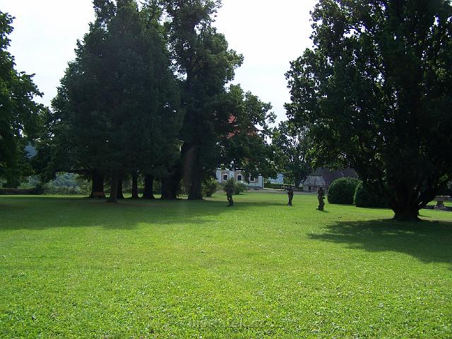 100_8928.JPG - pohled na devět bratří z romantickém parku zámeckého parku Valeč