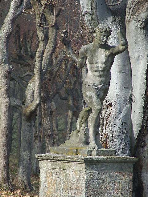 DSCF3000.JPG - atlet s mimikry - osamoceně na prahu áleje