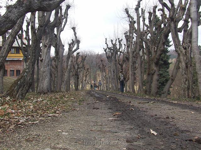 DSCF3004.JPG - pozdně podzimní álej