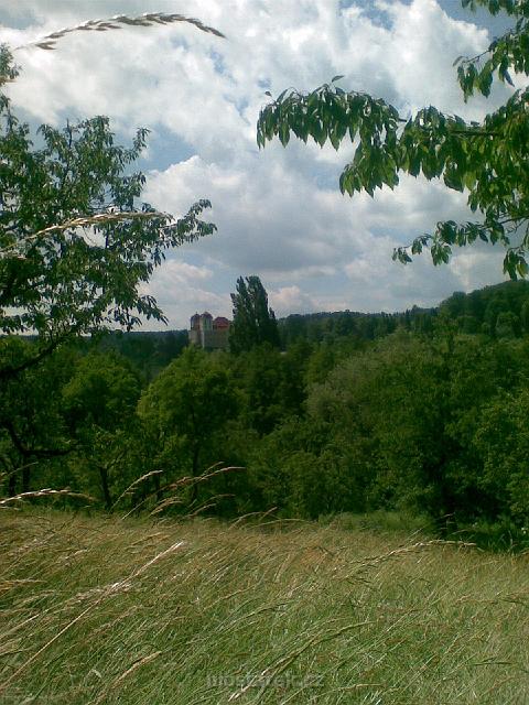 Image045.jpg - pohled na zámeckou budovu z rozkvetlé Škubalovic louky nad požární nádrží