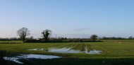 Laraghcon Farm field