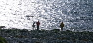 VoVes: Clonmacnoise, Cliffs of Moher, Connemara loop, May 2007