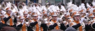 VoVes: dublinský karneval na den sv. Patrika, jaro 2007