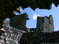 Fore abbey, central Ireland landscapes and livestock, May 2007